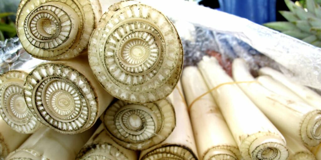 Banana stem salad nutrition