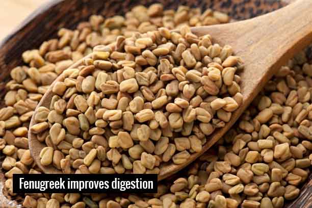 Fenugreek Methi Benefits What it is Does it Help with Weight