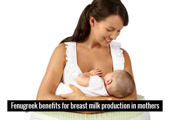 Methi improves lactation in mothers Methi improves lactation in mothers