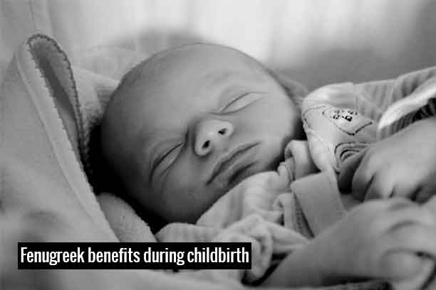 Methi helps in inducing childbirth Methi helps in inducing childbirth