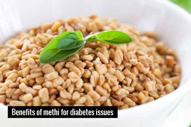 Fenugreek is beneficial for diabetes Fenugreek is beneficial for diabetes