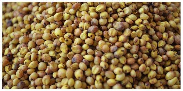 Health Benefits of Jowar