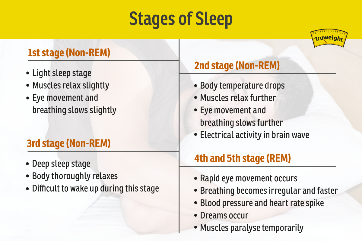 stages of sleep