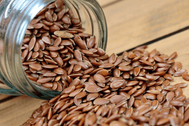 Flaxseed Probiotic Food