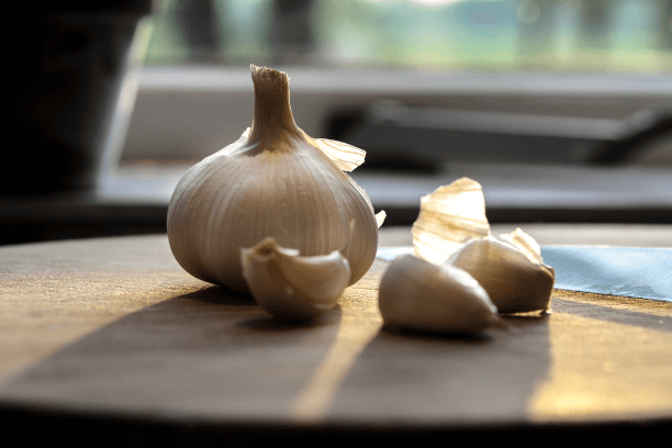 Garlic Probiotic Food