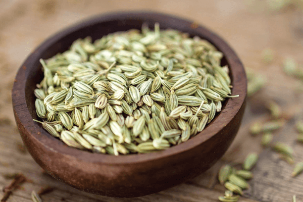 Fennel seed for digestion and good health Fennel seed for digestion and good health
