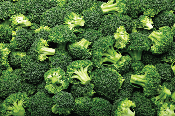 Broccoli