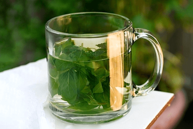 Basil leaves Benefits to Health When Chewed On Empty Stomach