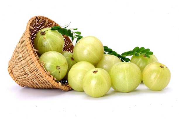 Amla as a ayurvedic medicine for weight loss Amla as a ayurvedic medicine for weight loss
