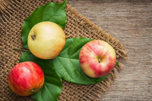 Apple Probiotic Food