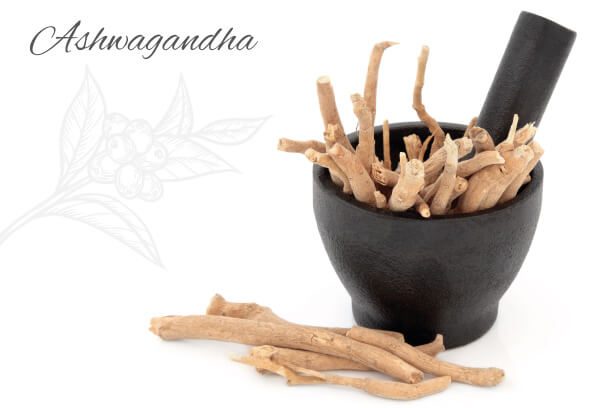 Ashwagandha has many health benefits