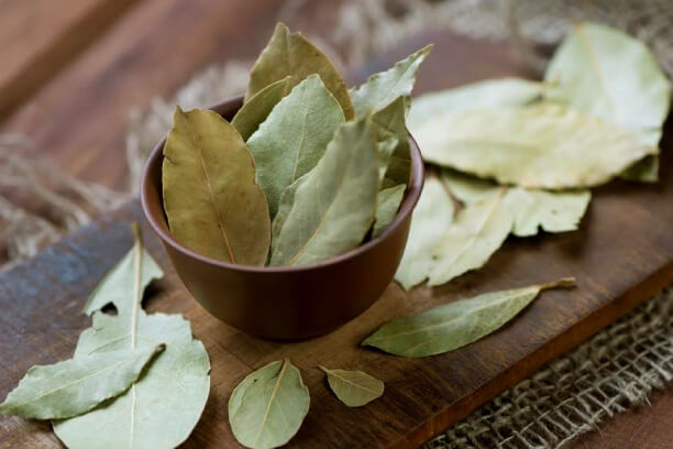 Bel Leaves as ayurvedic medicine for diabetes Bel Leaves as ayurvedic medicine for diabetes
