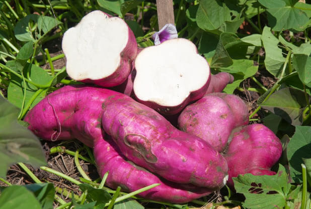 Sweet Potatoes nutrition,calories and health