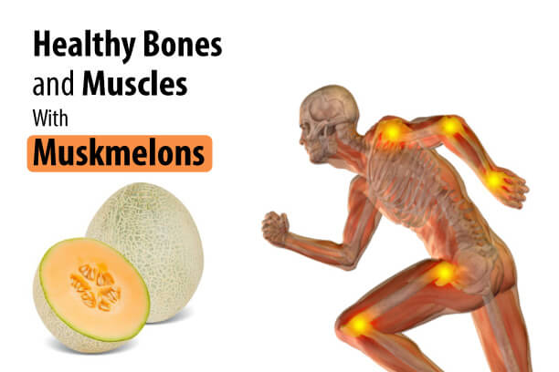 Muskmelon for Strong Bones 