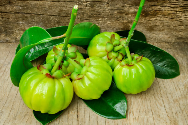 Benefits of Garcinia Cambogia