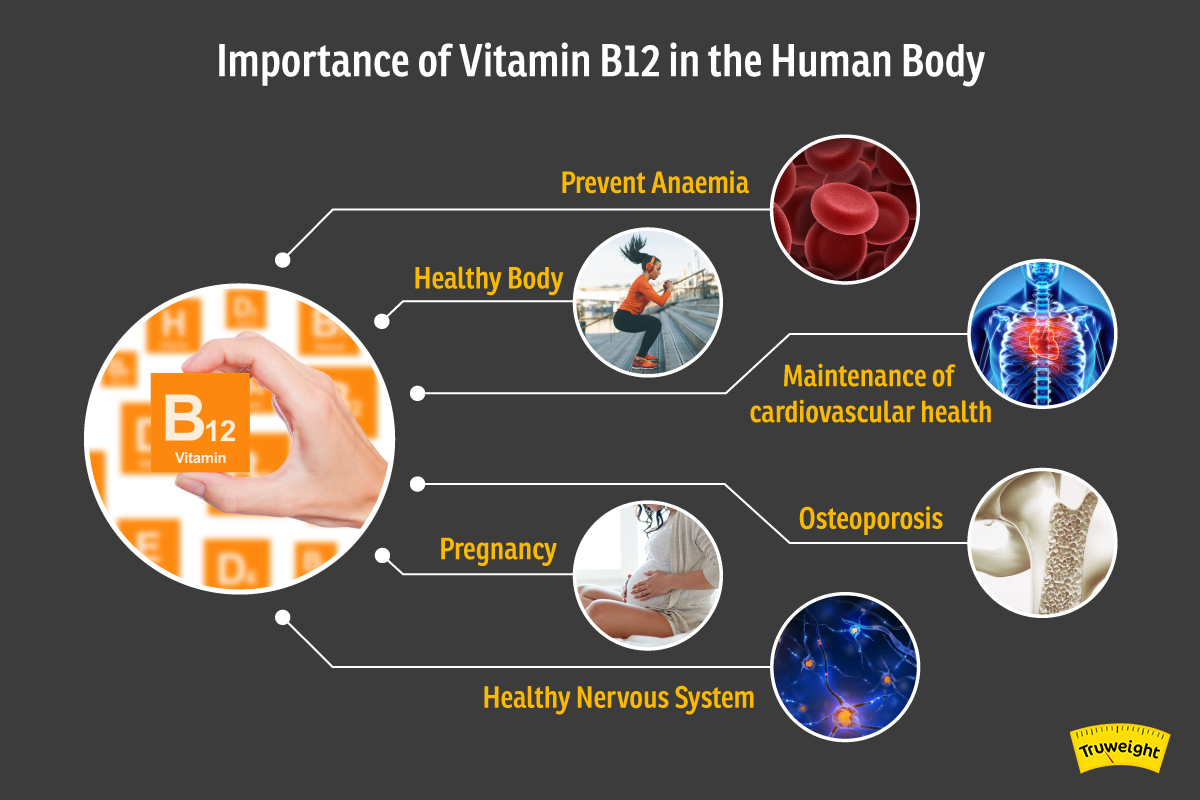 Importance of Vitamin B12 Vitamin B12 Deficiency Symptoms Possible