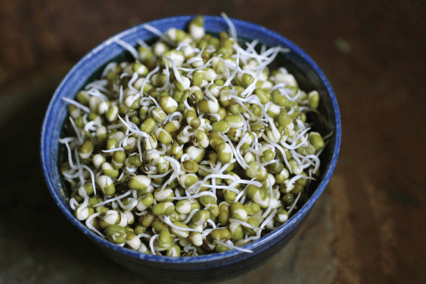 Moong dal sprouts