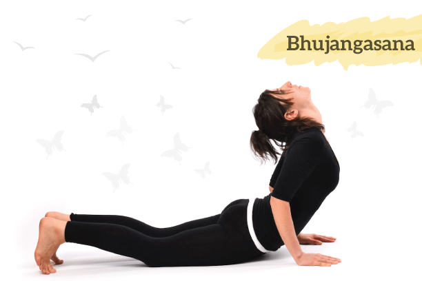 Bhujangasana Bhujangasana