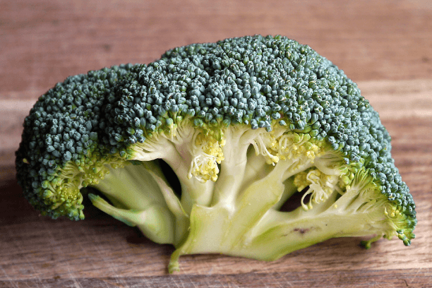 Broccoli Probiotic Food