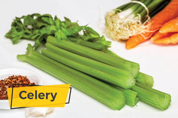 Celery is a good weight loss vegetable