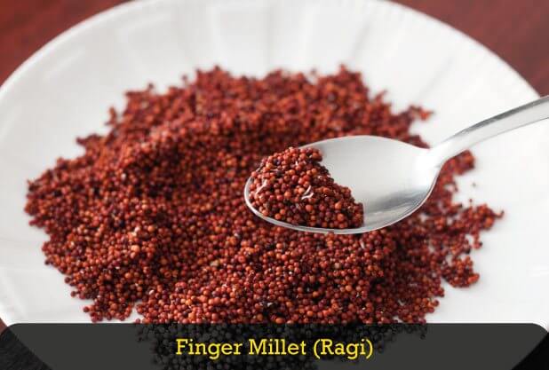 Finger Millet for Weight Loss Finger Millet for Weight Loss