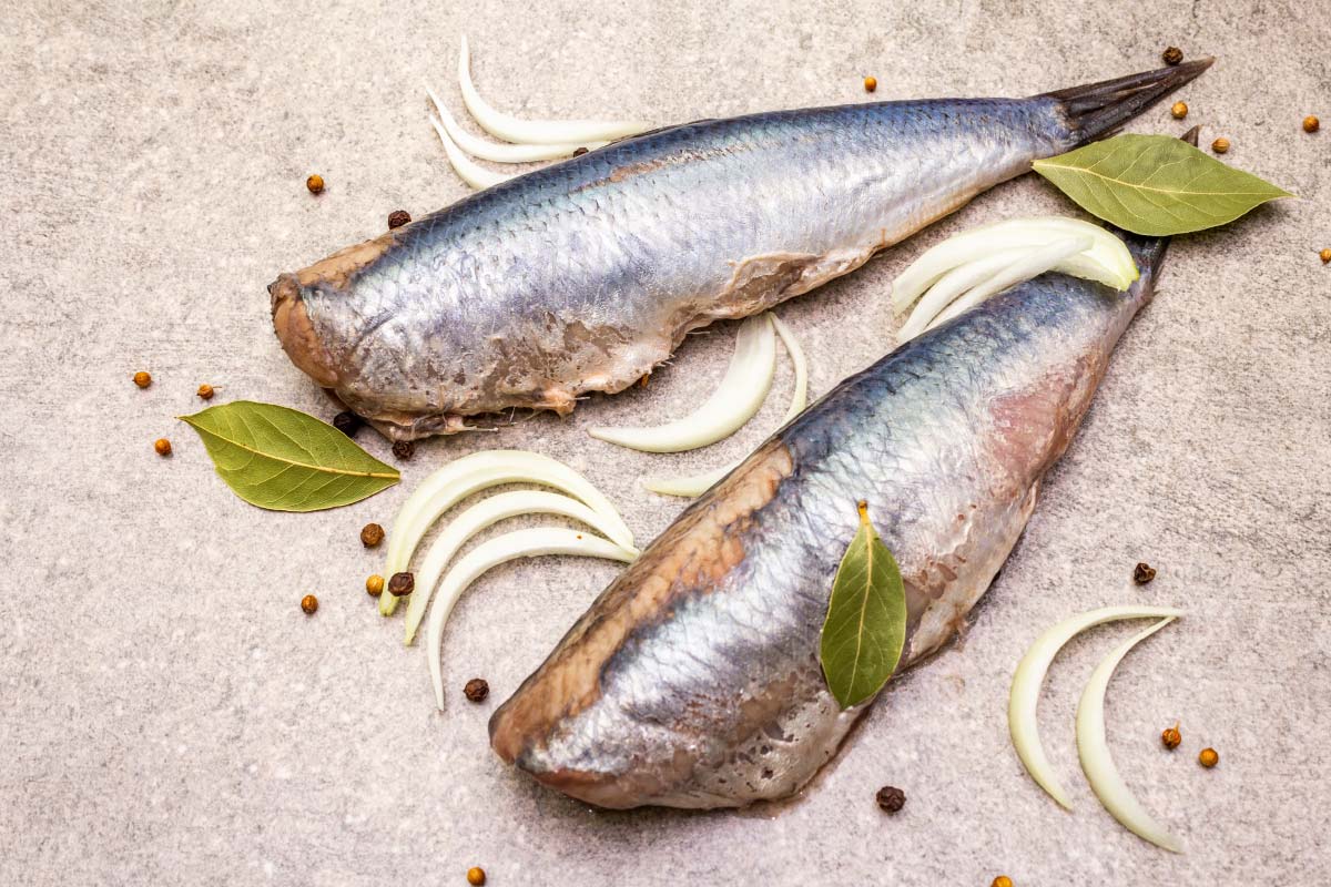 Herring Fish is a good source of Healthy Fats