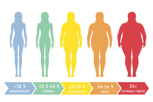 BMI Calculator for Men & Women - Understand Your Body Mass | Truweight