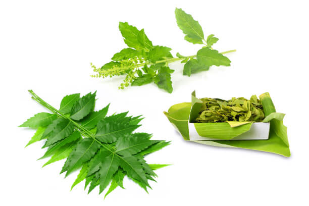 Neem Leaves have many health benefits