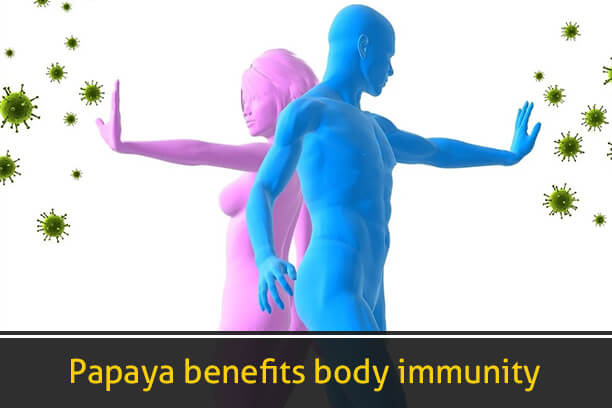 Papaya benefits body immunity