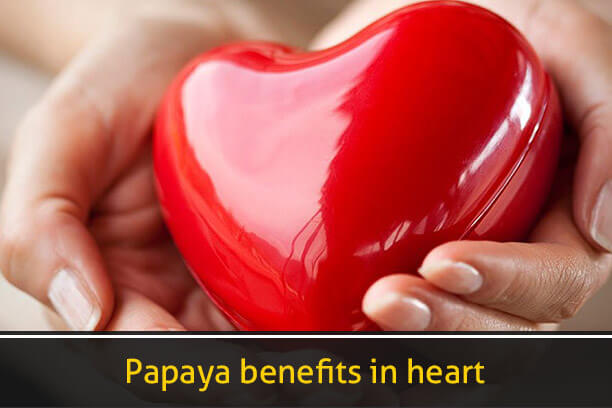 Papaya benefits the heart