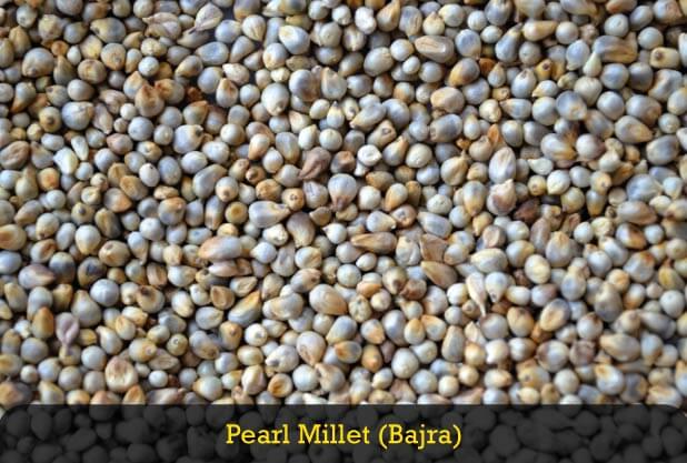 Pearl Millet Flour for Weight Loss Pearl Millet Flour for Weight Loss