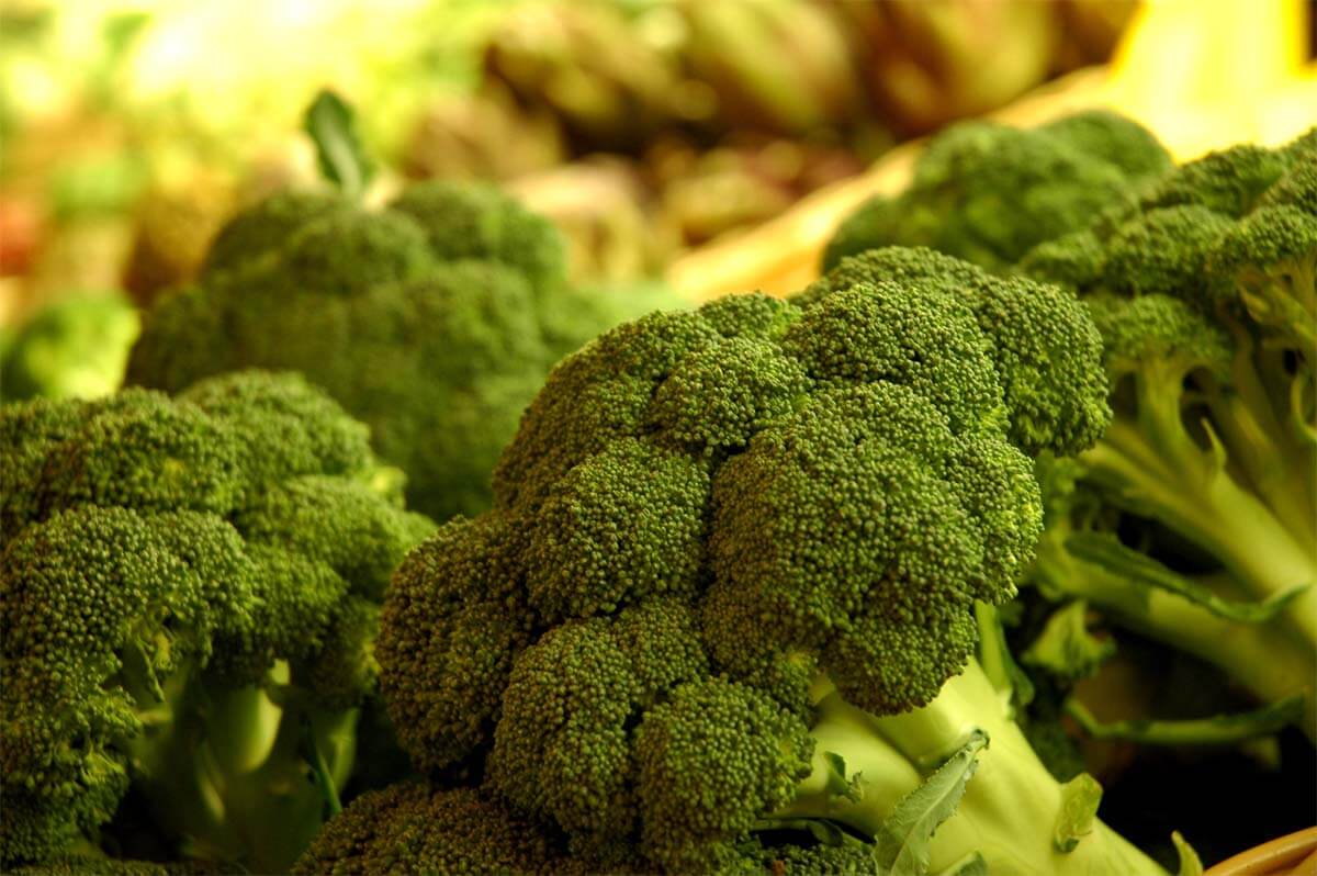Phytochemicals benefits Phytochemicals benefits