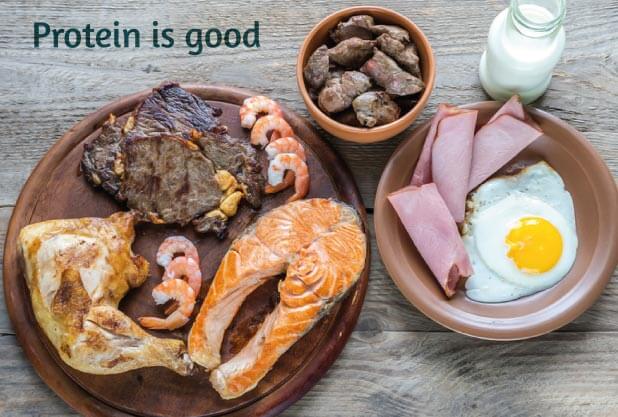Protein for weight loss Protein for weight loss
