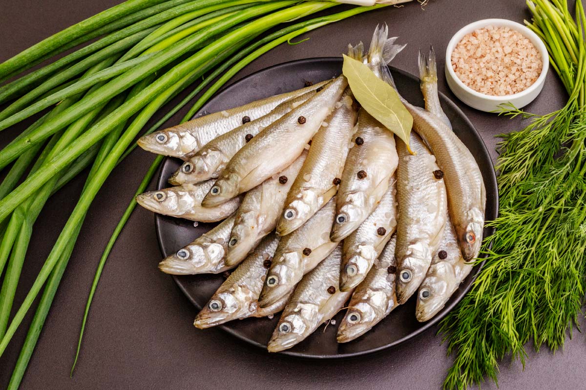 Sardines fish is packed with Nutrients