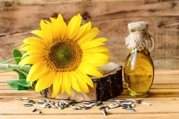 Sunflower Oil is a healthy cooking oil option