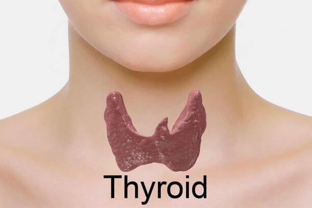 Millets are high in thyroid affecting goitrogens Millets for Thyroid