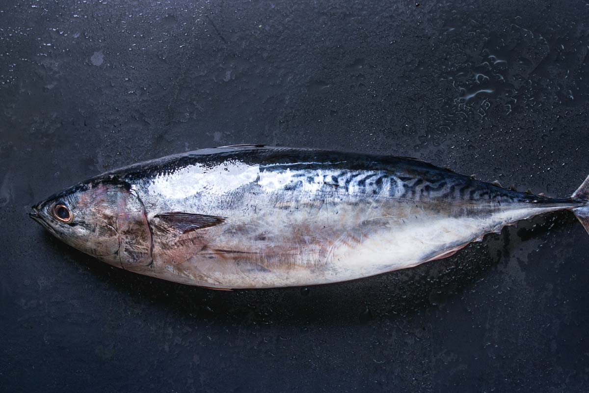 Tuna fish is known for its delicious flavour