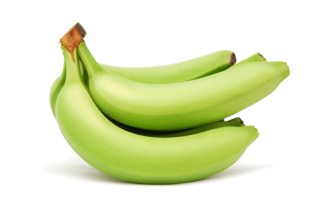 Unripe bananas