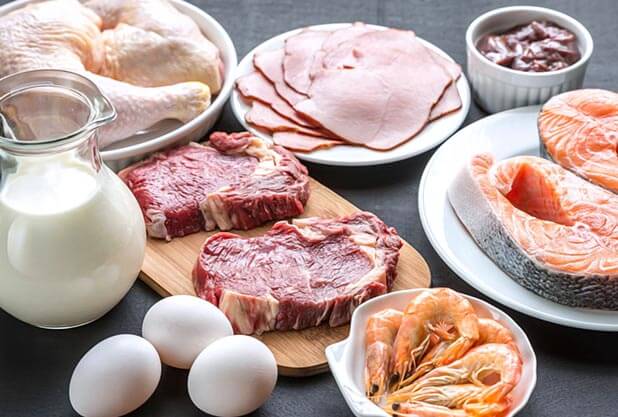 Your Protein Intake is Not Sufficient Your Protein Intake is Not Sufficient