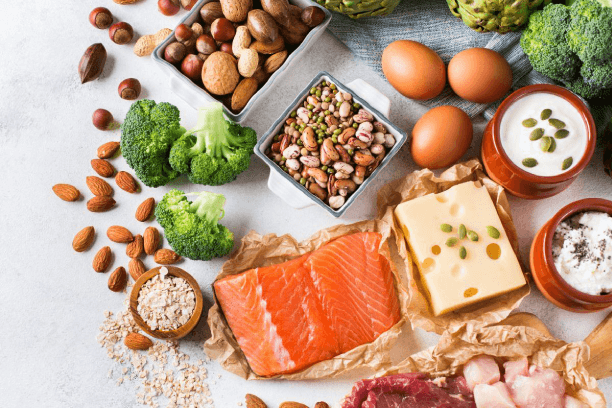 All protein food sources All protein food sources