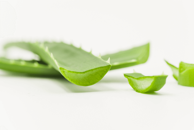 aloe vera for weight loss