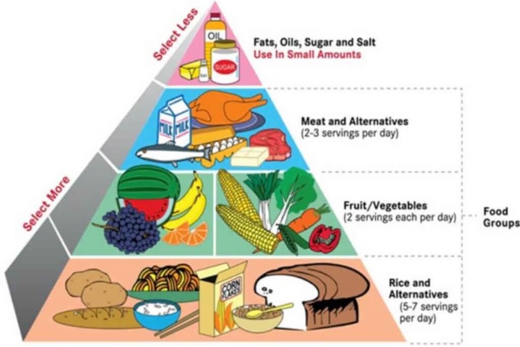 Daily Diet Chart For Men