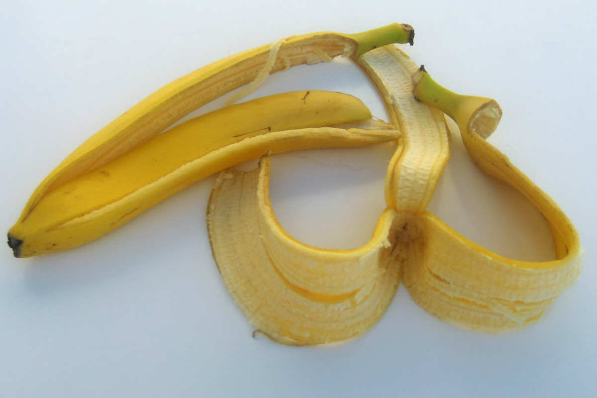 Facts and Truth About Banana Benefits on Weight Loss - Truwe