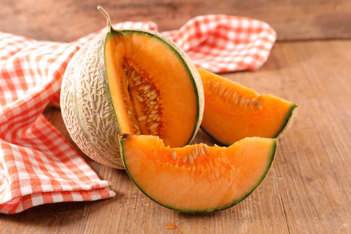 cantaloupe