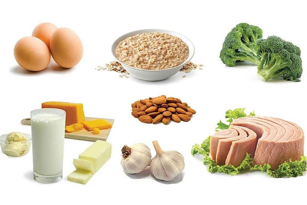 protein rich food list