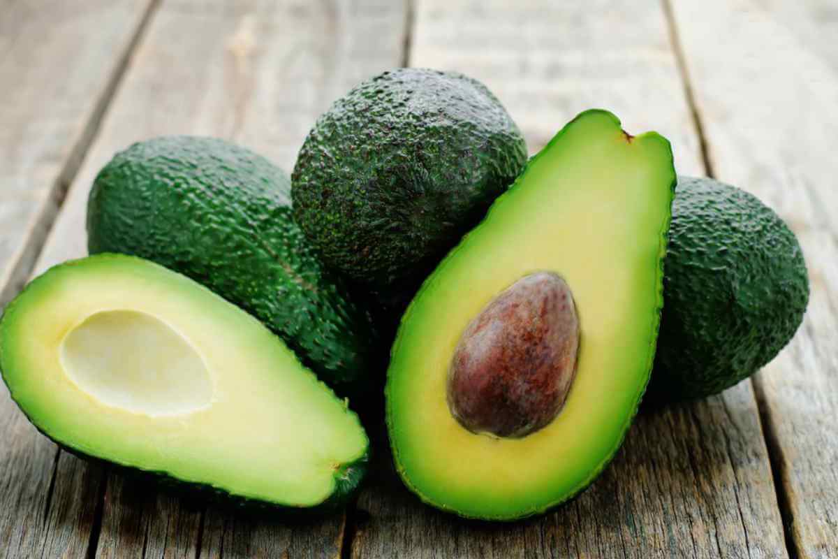 Avocado diet for weight loss Avocado diet for weight loss