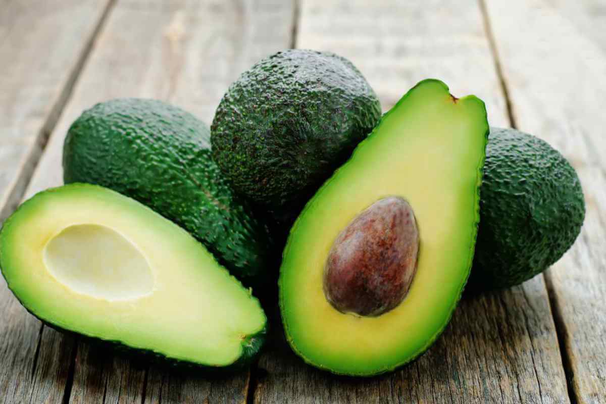 Avocado diet for weight loss