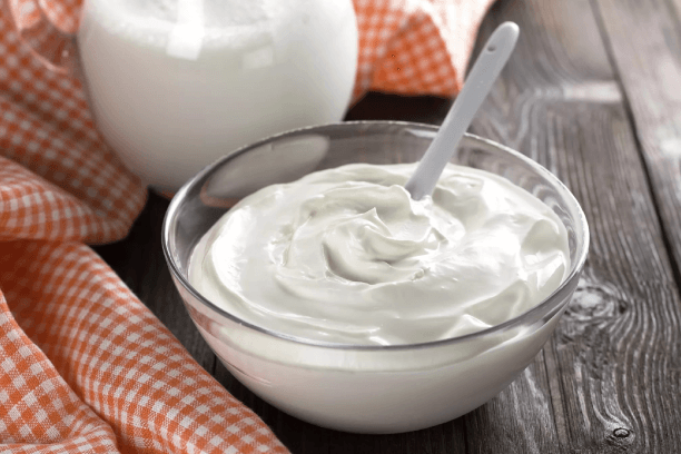 Probiotics for healthy stomach