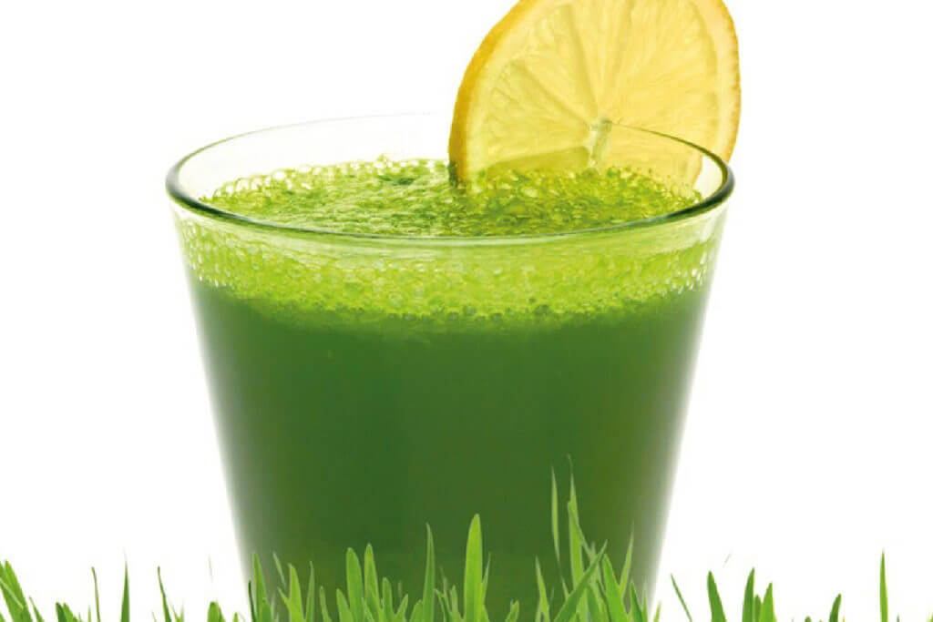 Wheatgrass Juice benefits