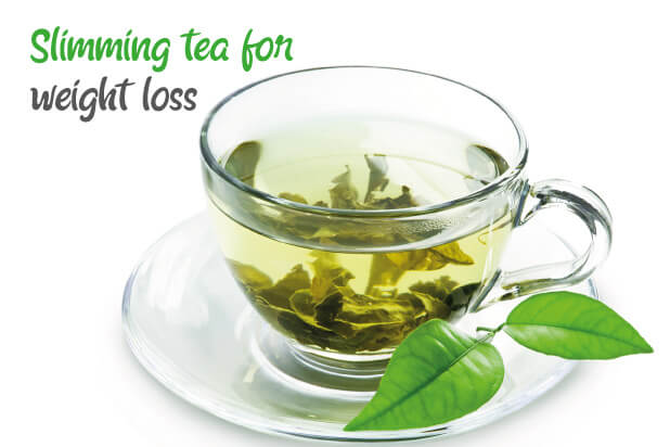 Sheet To contribute Specified benefits of slimming tea mere Mortal Plant